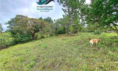 VENDO LOTE DE 1473MTS VIA.LUCERO