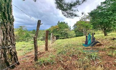 VENDO LOTE DE 1473MTS VIA.LUCERO