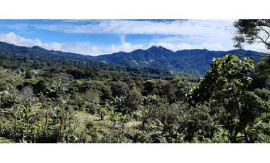 VENDO HERMOSO LOTE DE 3000M2 VIA VOLCANCITO