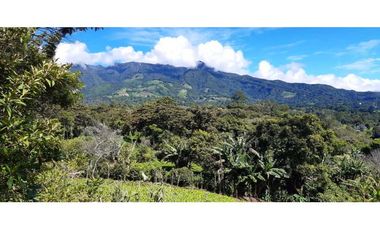 VENDO HERMOSO LOTE DE 3000M2 VIA VOLCANCITO
