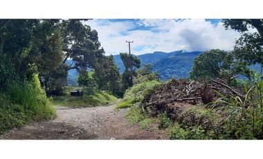 VENDO HERMOSO LOTE DE 3000M2 VIA VOLCANCITO