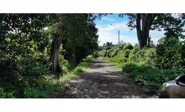 VENDO HERMOSO LOTE DE 3000M2 VIA VOLCANCITO