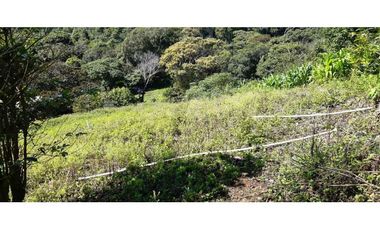 VENDO HERMOSO LOTE DE 3000M2 VIA VOLCANCITO
