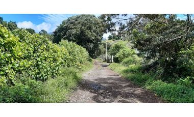 VENDO HERMOSO LOTE DE 3000M2 VIA VOLCANCITO