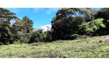 VENDO HERMOSO LOTE DE 3000M2 VIA VOLCANCITO