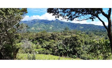 VENDO HERMOSO LOTE DE 3000M2 VIA VOLCANCITO
