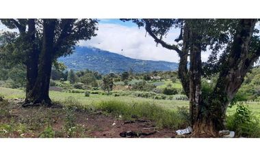 VENDO HERMOSO LOTE DE 3000M2 VIA VOLCANCITO
