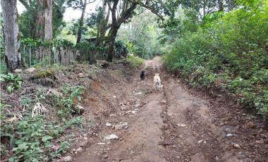 VENDO HERMOSO LOTE DE 3000M2 VIA VOLCANCITO