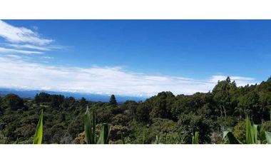 VENDO HERMOSO LOTE DE 3000M2 VIA VOLCANCITO