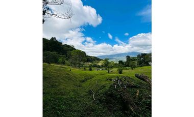 VENDO.TERRENO.DE 6000mts JARAMILLO