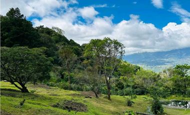 VENDO.TERRENO.DE 6000mts JARAMILLO
