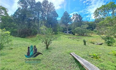 VENDO.TERRENO.DE 6000mts JARAMILLO