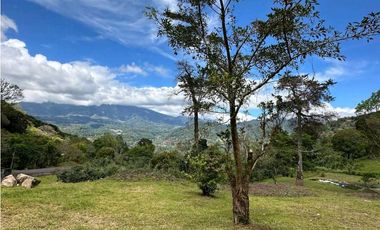 VENDO.TERRENO.DE 6000mts JARAMILLO