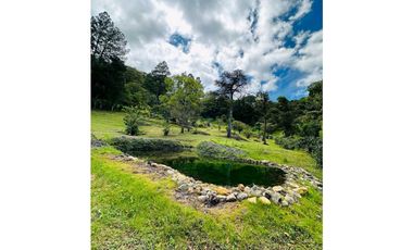 VENDO.TERRENO.DE 6000mts JARAMILLO