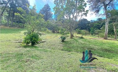 VENDO.TERRENO.DE 6000mts JARAMILLO