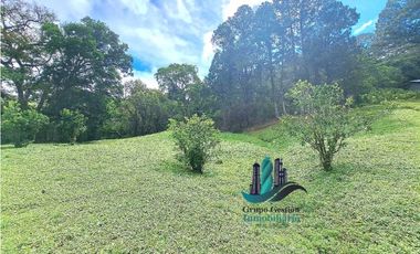 VENDO.TERRENO.DE 6000mts JARAMILLO
