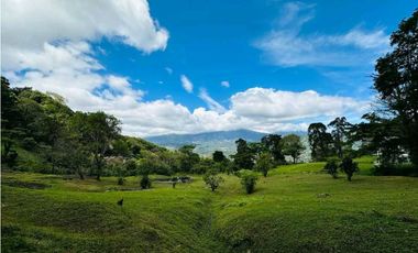 VENDO.TERRENO.DE 6000mts JARAMILLO
