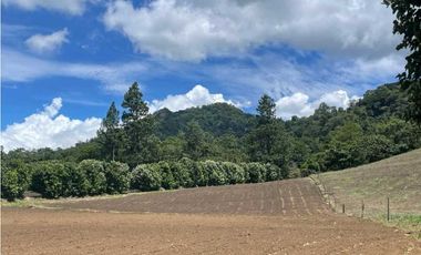 VENTA DOS.HECTAREAS EN EL PARAISO.BQT.