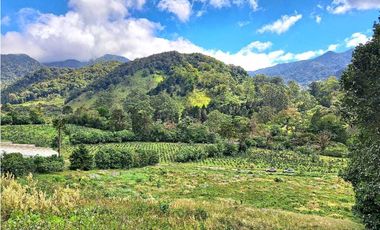 VENTA DOS.HECTAREAS EN EL PARAISO.BQT.