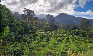 VENTA DOS.HECTAREAS EN EL PARAISO.BQT.