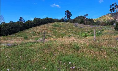 VENTA DOS.HECTAREAS EN EL PARAISO.BQT.