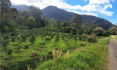 VENTA DOS.HECTAREAS EN EL PARAISO.BQT.