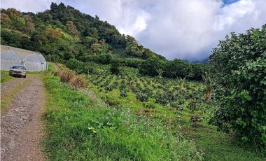 VENTA DOS.HECTAREAS EN EL PARAISO.BQT.