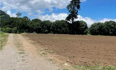 VENTA DOS.HECTAREAS EN EL PARAISO.BQT.