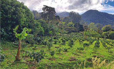 VENTA DOS.HECTAREAS EN EL PARAISO.BQT.
