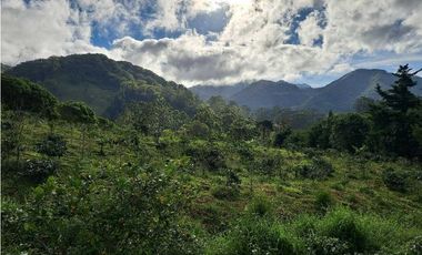 VENTA DOS.HECTAREAS EN EL PARAISO.BQT.