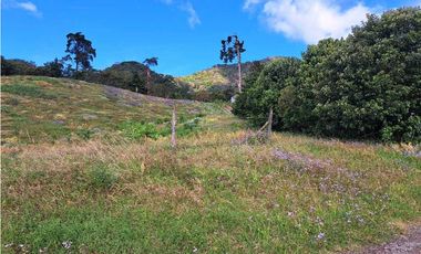 VENTA DOS.HECTAREAS EN EL PARAISO.BQT.