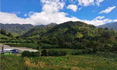 VENTA DOS.HECTAREAS EN EL PARAISO.BQT.