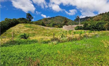 VENTA DOS.HECTAREAS EN EL PARAISO.BQT.