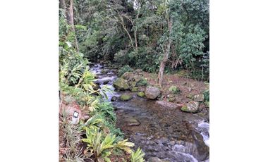 VENTA DOS.HECTAREAS EN EL PARAISO.BQT.