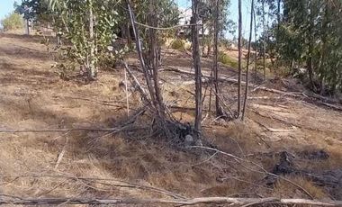 Parcela en venta en LIMACHE