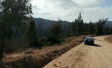 Parcela en venta en LIMACHE