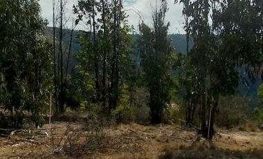Parcela en venta en LIMACHE