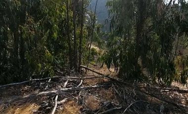 Parcela en venta en LIMACHE