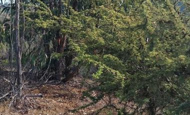 Parcela en venta en LIMACHE