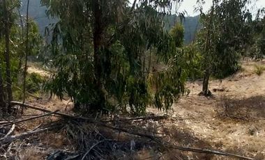 Parcela en venta en LIMACHE