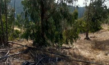 Parcela en venta en LIMACHE