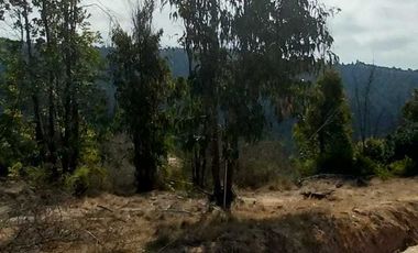 Parcela en venta en LIMACHE