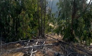 Parcela en venta en LIMACHE