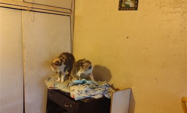 Casa en Venta en Larga