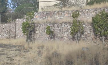 Terreno comercial en renta en Euquerio Guerrero