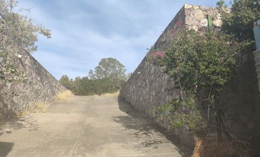 Terreno comercial en renta en Euquerio Guerrero