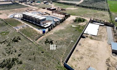 2504 M2 EL PORVENIR, Tierra Santa, Valle de Guadalupe