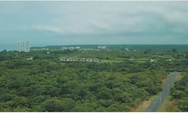 FINCA EN EL PALMAR – SAN CARLOS - 4681DM