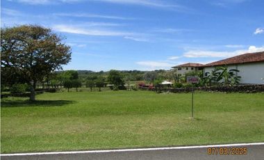 TERRENO A LA VENTA HACIENDA LOS MOLINOS DOLEGA CHIRIQUI