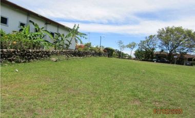 TERRENO A LA VENTA HACIENDA LOS MOLINOS DOLEGA CHIRIQUI